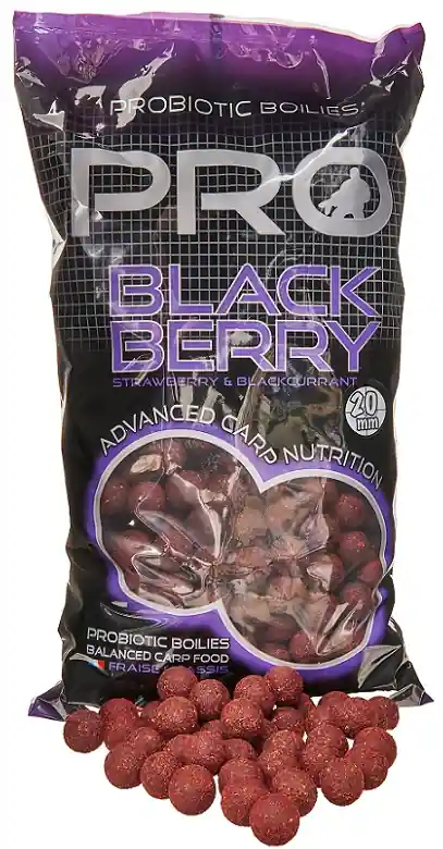 Must-Have Starbaits Boilies Pro Blackberry 2kg 20mm