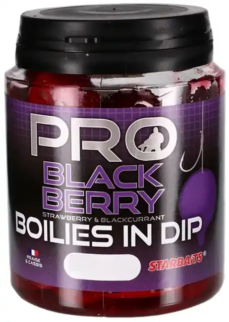 Koop Vandaag Starbaits Boilies In Dip Pro Blackberry 150g 24mm
