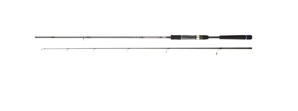 Laatste Kans Daiwa CROSSCAST Seabass 3,05 m 14-56 g
