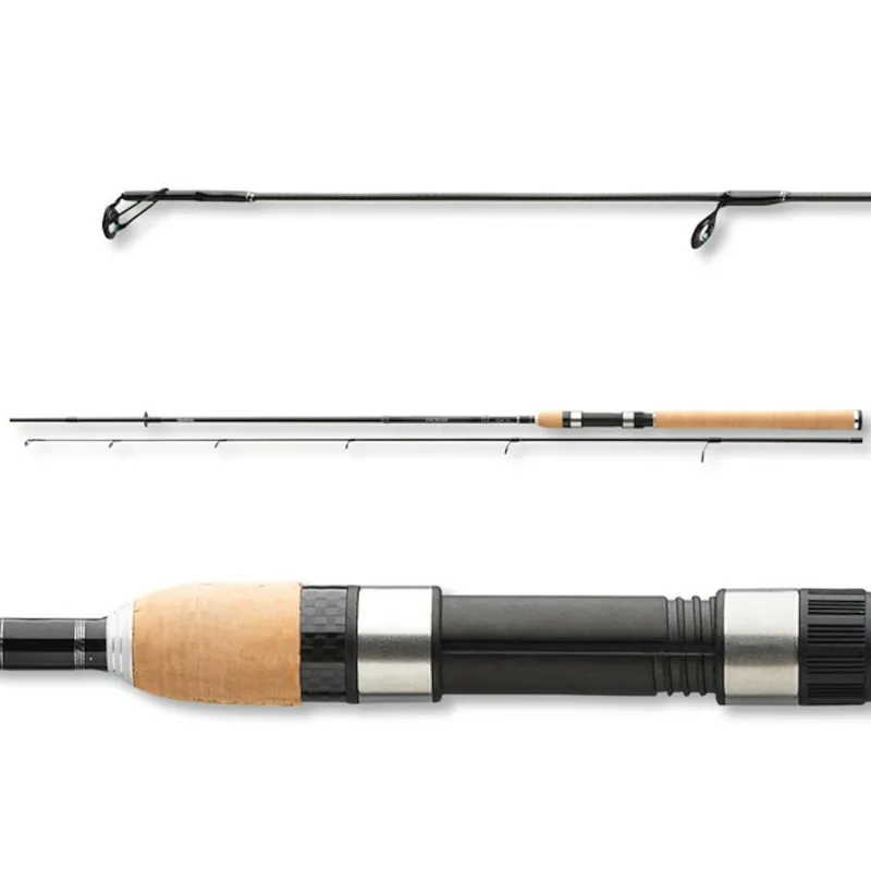 Weekendaanbieding DAIWA Exceler Trad. 2.70m 20-60g
