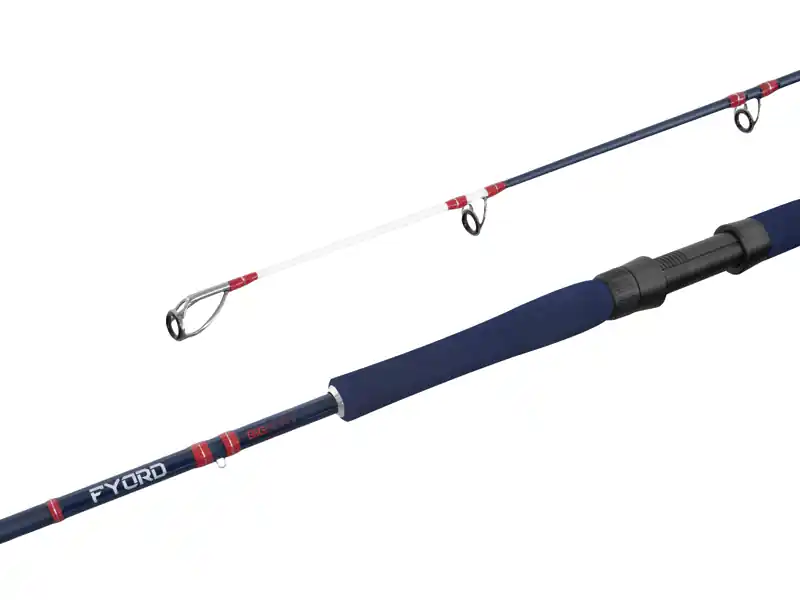 Delphin FYORD BigBOAT 200cm/300-400g/2rész Veilige Betaling