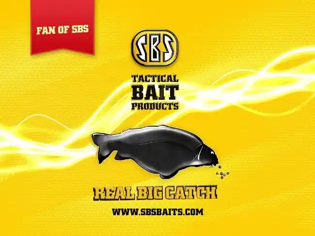 Seizoensaanbieding SBS Fan Flag