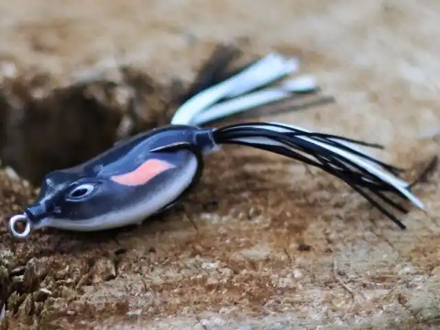 Rapture Dancer Frog 45mm 1/4Oz(7g) Black béka Voordeelprijs