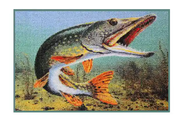 Delphin Szőnyeg 3D csuka (60x40cm) Exclusieve Aanbieding