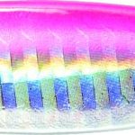 Actieprijs Rapture Asami Cast&Run SH 10g (42) PS pilker ólom