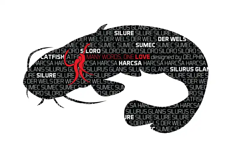 Delphin Öntapadó HARCSA Words sorozat Tijdelijk Beschikbaar