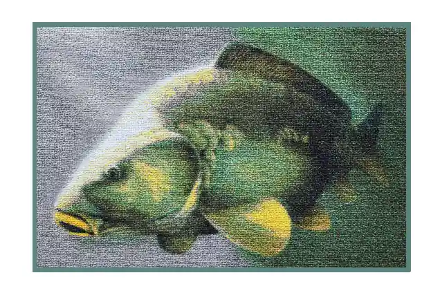Delphin Szőnyeg 3D ponty (60x40cm) Rechtstreeks Van De Fabrikant