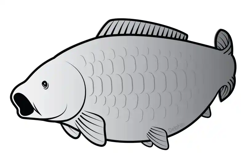 Favoriet Delphin Öntapadó ponty SILVER