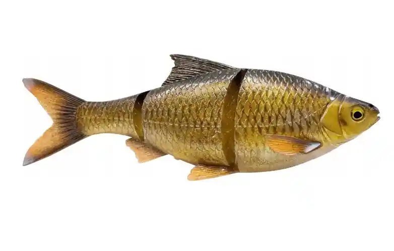 Savage Gear 3D LT ROACH 18CM 80G SS GLITTER BREAM gumihal Express Levering