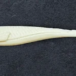 Betrouwbaar Alpha Tackle Avci OG white /red tail/ 12cm