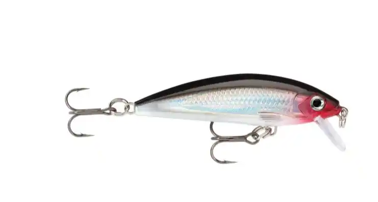 Rapala X-Rap Countdown XRCD05 - S Lage Kosten