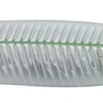 Weekendaanbieding Savage Gear SURF SEEKER 10.5CM 35G S WHITE PEARL pilker