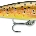 Alleen Vandaag Rapala COUNTDOWN CD01 TR wobbler