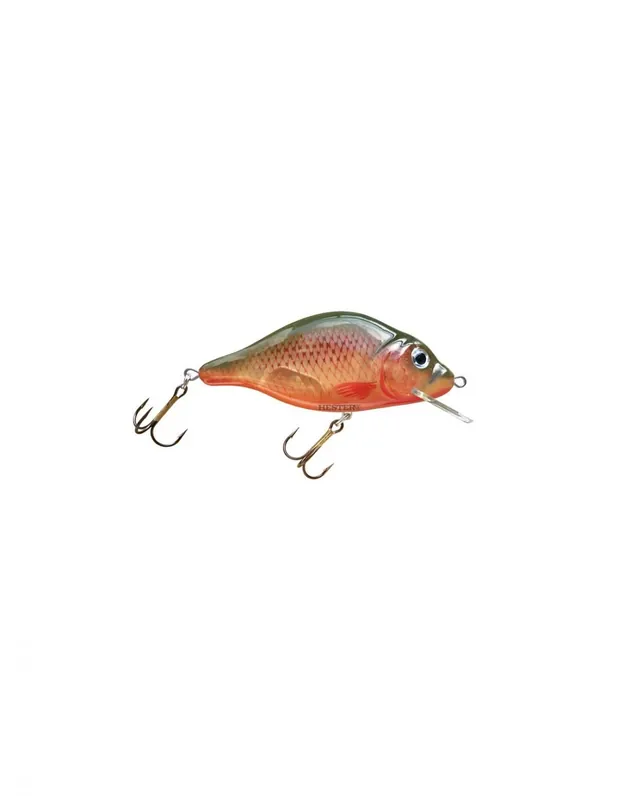 Lage Prijs HESTER WOBBLER CARP 6G 3-12M 116 Crank