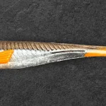 Alpha Tackle Avci Hot Chocolate barna /ezüst/narancssárga farokkal/ 12cm Lage Kosten