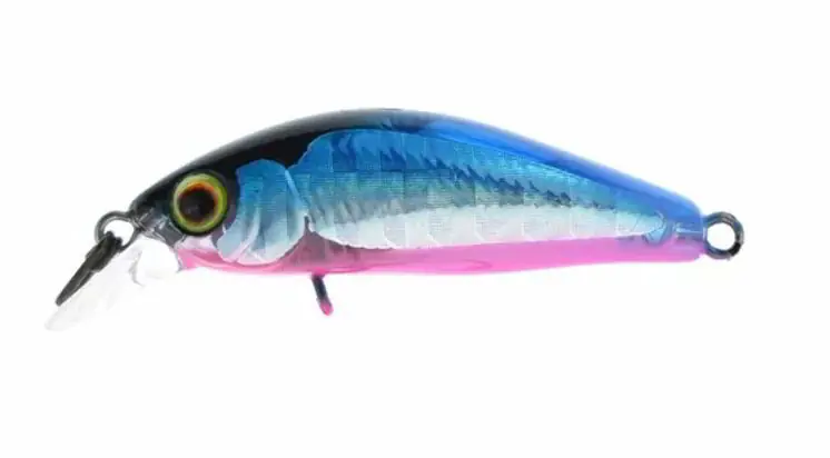 Gecertificeerd Jackall Chubby Minnow 35 SP / Flash Blueback wobbler