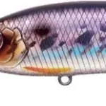 Direct Verzonden Evergreen Gold Digger 600 11.0cm 32.5g 209 Hologram Wakasagi wobbler