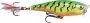 Beste Prijs Rapala SKITTER POP SP05 FT popper