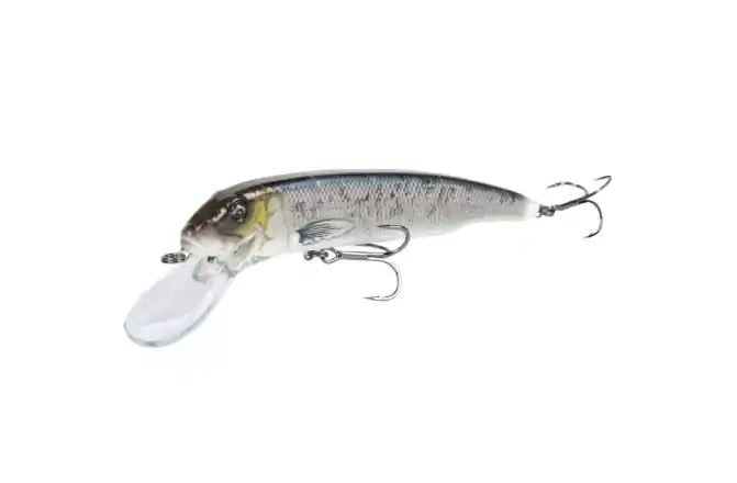 Savage Gear SHSKFLNK200-CISCOGLT SKR FLNK 200 CISGLT wobbler Direct Beschikbaar