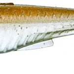 Beperkt Aanbod Gunki Whiz 12,5cm Smelt Paradise 4db