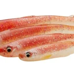 Weekendaanbieding Savage Gear SLENDER SCOOP SHAD BULK 9CM 4G GS