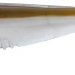 Flitsaanbieding Gunki G Bump SWM 145 11cm Body Natural Smelt 2db gumihal