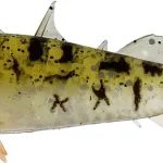 Aanbieding WESTIN Stanley the Stickleback Shadtail 9cm 7g - Pearl Stickleback 6db/cs