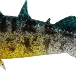 WESTIN Stanley the Stickleback 7,5 cm 4 g Spawing Stickleback 6 db/csomag Exclusieve Aanbieding
