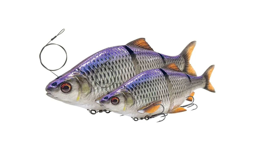 Savage Gear 3D LT ROACH 32CM 445G S BLUE ROACH Gratis Retour