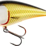 WESTIN BassBite 2.5 Squarebill 7cm 16g Floating Official Roach Must-Have