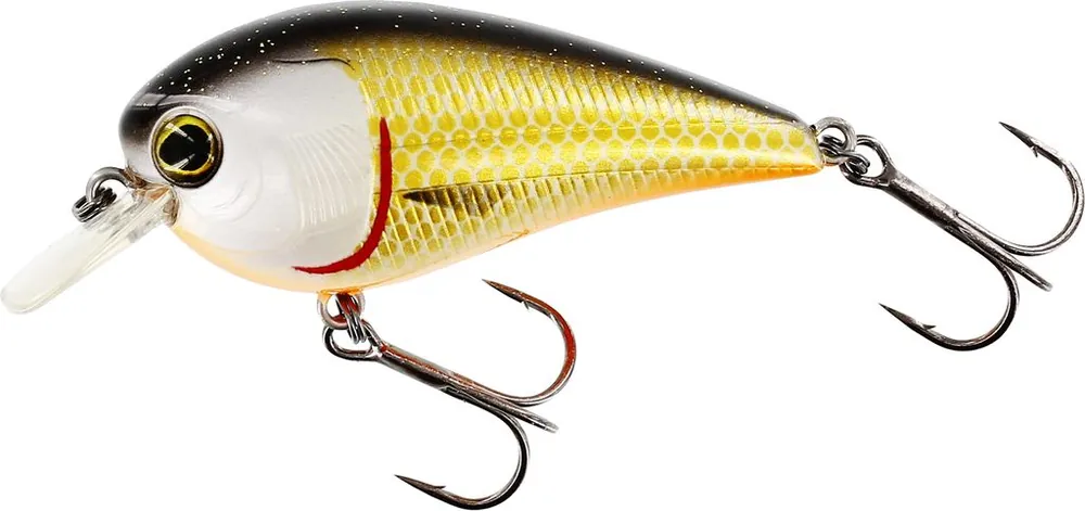 WESTIN BassBite 2.5 Squarebill 7cm 16g Floating Official Roach Must-Have