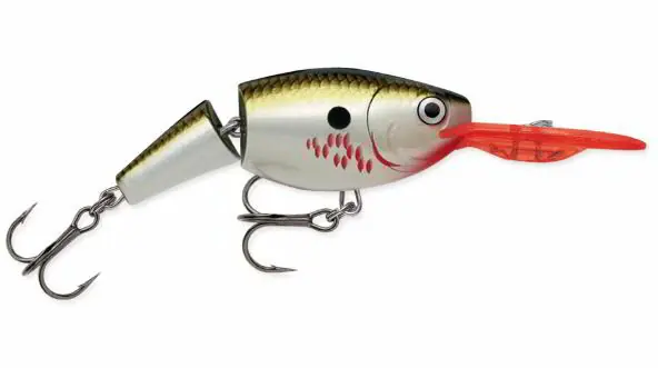 Bestel Nu Rapala JSR JOINTED SHAD RAP 07 BOF wobbler